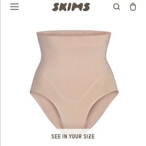 Skims High Waisted Bonded Brief XL in Clay